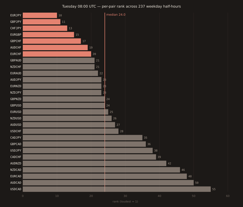 Horizontal bar chart of 28 liquid FX pairs' Tuesday 08:00 UTC rank (across each pair's 237 valid weekday half-hours), sorted by rank ascending. Loudest 3 are all JPY-crosses: EURJPY 10, GBPJPY 11, CHFJPY 13. Top-20 (shown in coral): EURJPY 10, GBPJPY 11, CHFJPY 13, EURGBP 15, GBPCHF 17, AUDCHF 19, EURCHF 20. Next tier: GBPAUD 21, NZDCHF 21, EURAUD 22, AUDJPY 23, EURNZD 23, NZDJPY 23, GBPNZD 24, GBPUSD 24, EURUSD 25, NZDUSD 26, AUDUSD 27, USDCHF 28. Bottom tier: CADJPY 35, GBPCAD 36, USDJPY 38, CADCHF 39, AUDNZD 42, NZDCAD 46, EURCAD 48, AUDCAD 50. Quietest: USDCAD 55. Median rank 24 marked as a vertical coral line.